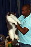 IMG_0380
