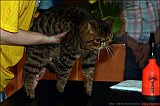 IMG_0405