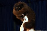 IMG_0414