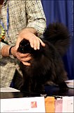 IMG_0469