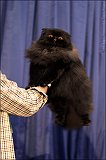 IMG_0476