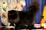 IMG_0482