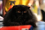 IMG_0488
