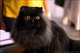 IMG_0504