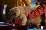 IMG_0521