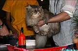 IMG_0543