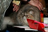 IMG_0544