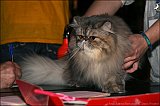 IMG_0546