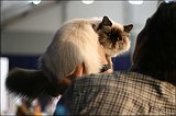 IMG_0573