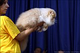 IMG_0674
