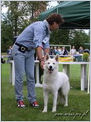 Escudo Kennel handling i hodowla sznaucer�w miniaturowych pieprz i s�l oraz sznaucer�w olbrzym�w czarnych