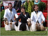 Escudo Kennel handling i hodowla sznaucer�w miniaturowych pieprz i s�l oraz sznaucer�w olbrzym�w czarnych