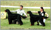Escudo Kennel handling i hodowla sznaucer�w miniaturowych pieprz i s�l oraz sznaucer�w olbrzym�w czarnych