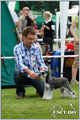 Escudo Kennel handling i hodowla sznaucer�w miniaturowych pieprz i s�l oraz sznaucer�w olbrzym�w czarnych