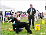 Escudo Kennel handling i hodowla sznaucer�w miniaturowych pieprz i s�l oraz sznaucer�w olbrzym�w czarnych