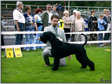 Escudo Kennel handling i hodowla sznaucer�w miniaturowych pieprz i s�l oraz sznaucer�w olbrzym�w czarnych