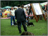 Escudo Kennel handling i hodowla sznaucer�w miniaturowych pieprz i s�l oraz sznaucer�w olbrzym�w czarnych