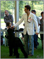 Escudo Kennel handling i hodowla sznaucer�w miniaturowych pieprz i s�l oraz sznaucer�w olbrzym�w czarnych