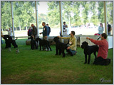 Escudo Kennel handling i hodowla sznaucer�w miniaturowych pieprz i s�l oraz sznaucer�w olbrzym�w czarnych
