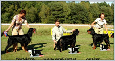 Escudo Kennel handling i hodowla sznaucer�w miniaturowych pieprz i s�l oraz sznaucer�w olbrzym�w czarnych
