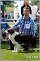 Escudo Kennel handling i hodowla sznaucer�w miniaturowych pieprz i s�l oraz sznaucer�w olbrzym�w czarnych