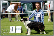 Escudo Kennel handling i hodowla sznaucer�w miniaturowych pieprz i s�l oraz sznaucer�w olbrzym�w czarnych
