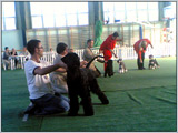 Escudo Kennel handling i hodowla sznaucer�w miniaturowych pieprz i s�l oraz sznaucer�w olbrzym�w czarnych
