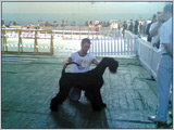 Escudo Kennel handling i hodowla sznaucer�w miniaturowych pieprz i s�l oraz sznaucer�w olbrzym�w czarnych