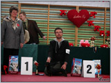 Escudo Kennel handling i hodowla sznaucer�w miniaturowych pieprz i s�l oraz sznaucer�w olbrzym�w czarnych
