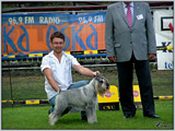 Escudo Kennel handling i hodowla sznaucer�w miniaturowych pieprz i s�l oraz sznaucer�w olbrzym�w czarnych